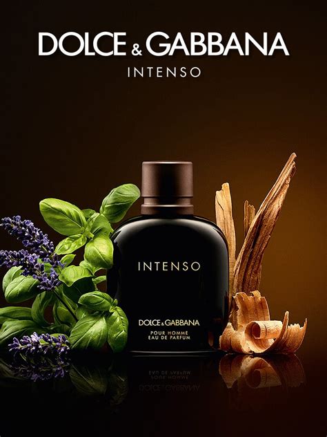 dolce and gabbana intenso notes.